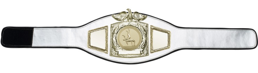 PROEAGLE WRESTLING CHAMPIONSHIP BELT - PROEAGLE/G/WRESTG - AVAILABLE IN 6+ COLOURS PROEAGLE WRESTLING CHAMPIONSHIP BELT - PROEAGLE/G/WRESTG - AVAILABLE IN 6+ COLOURS